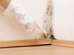 Mold Remediation for Vacation Homes in Burlington, CO